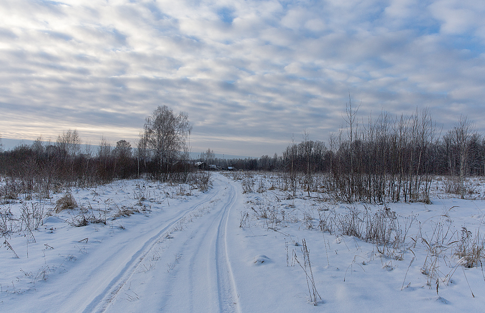 Зимняя дорога домой