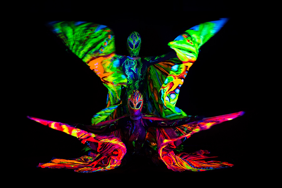 Бабочки в ультрафиолете