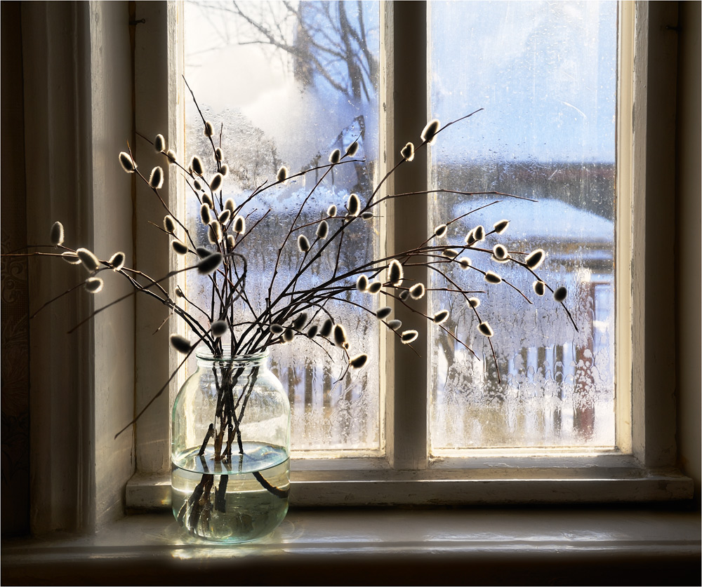 Зимний день за окном