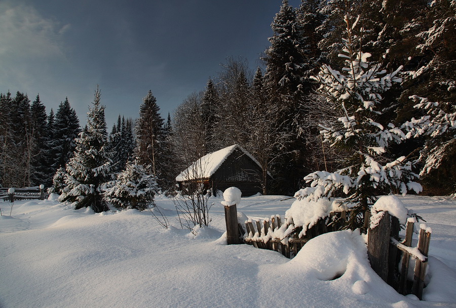 Зимнего леса уют Нажмите на изображение, чтобы посмотреть его на полном экране.
