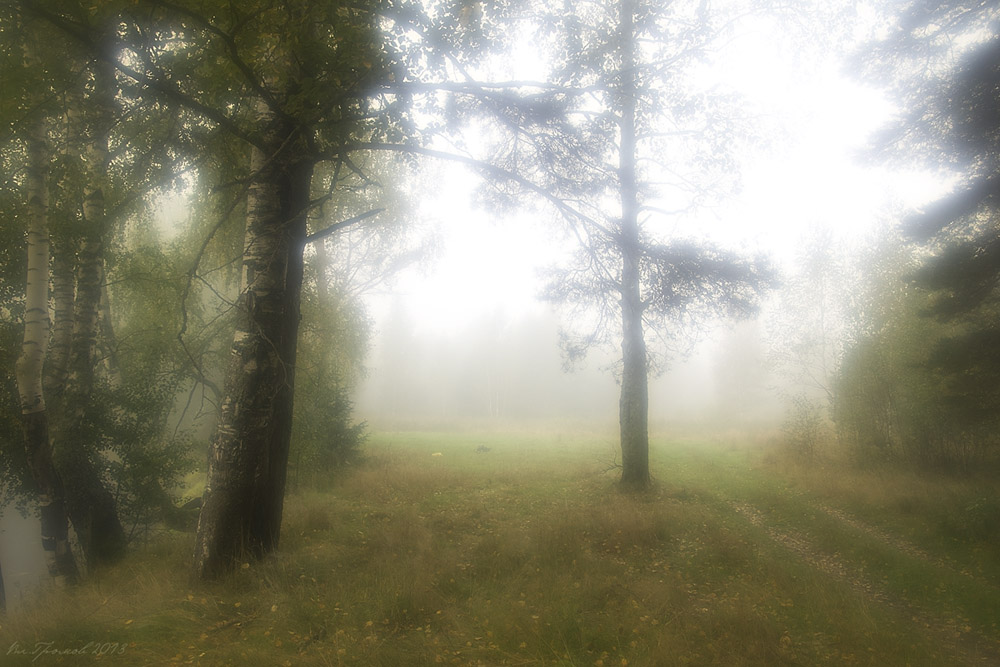 Пейзаж с туманом Нажмите на изображение, чтобы посмотреть его на полном экране.