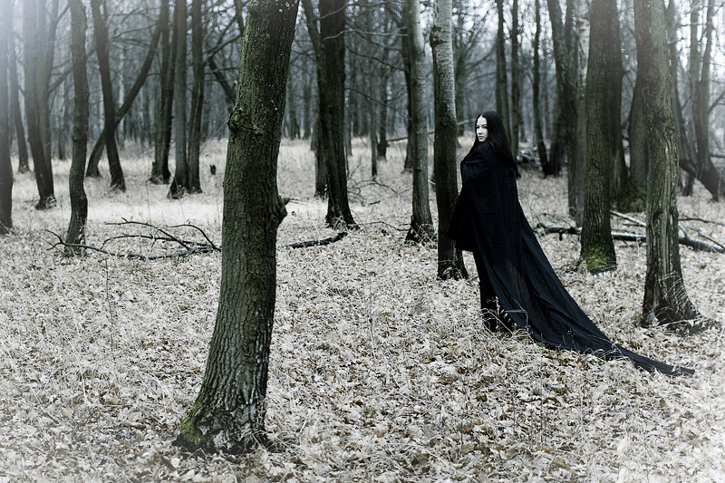 Лесная ведьма часть 8 том 4. Колдунья в лесу. Ведьма в лесу. Фотосессия в стиле ведьмы в лесу. Фотосессия ведьма в лесу.