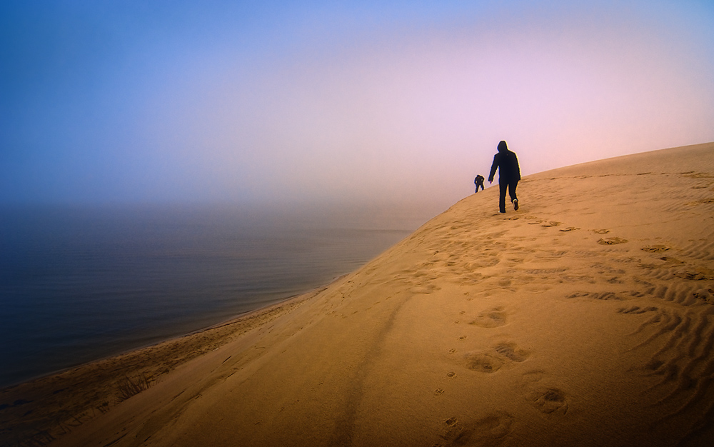 По краю дюны Нажмите на изображение, чтобы посмотреть его на полном экране.