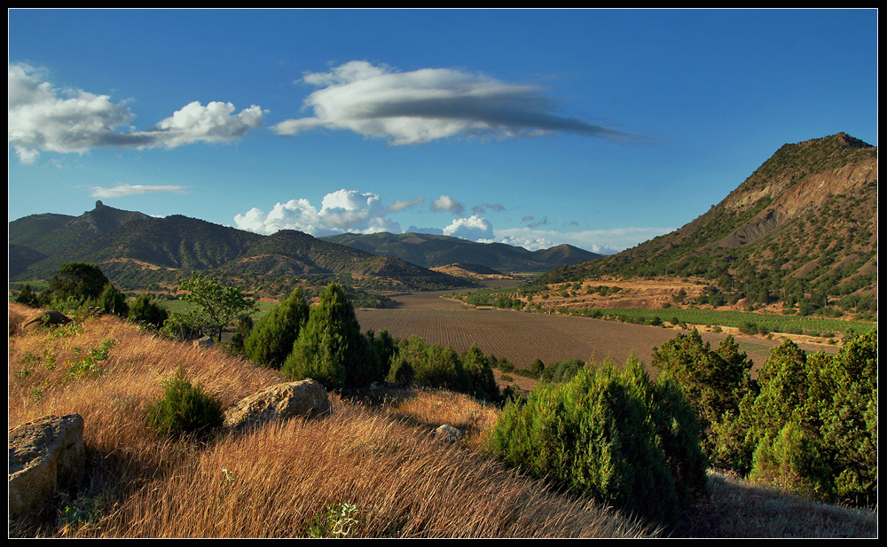 виноградная долина Нажмите на изображение, чтобы посмотреть его на полном экране.