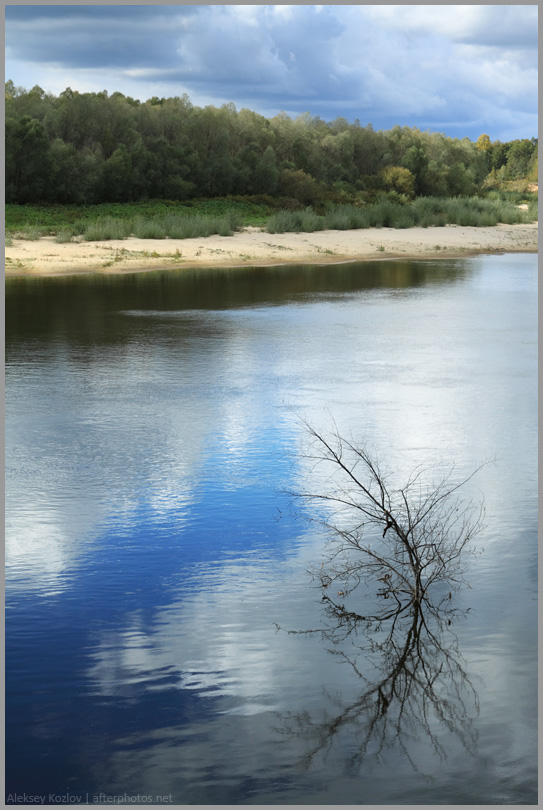 Река и куст Нажмите на изображение, чтобы посмотреть его на полном экране.