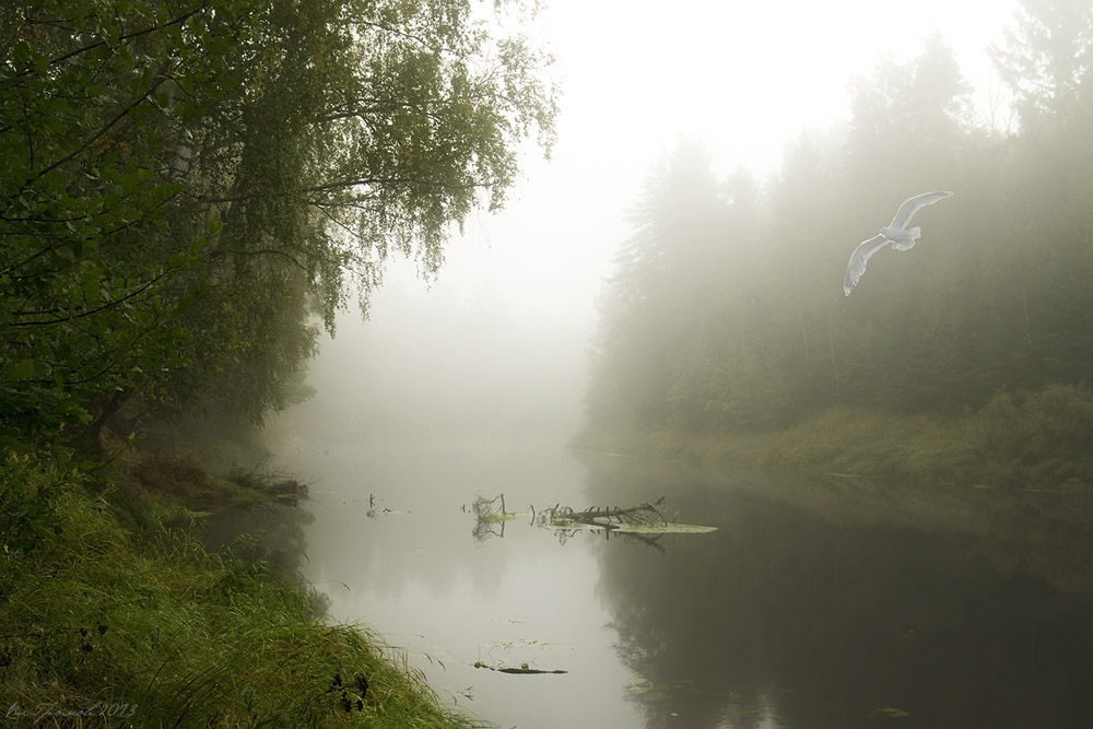 Пейзаж с чайкой и туманом Нажмите на изображение, чтобы посмотреть его на полном экране.