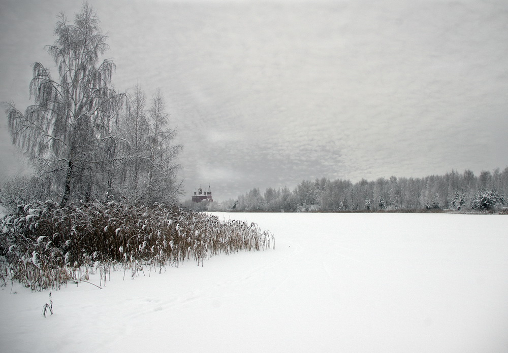 Зимушка зима Нажмите на изображение, чтобы посмотреть его на полном экране.