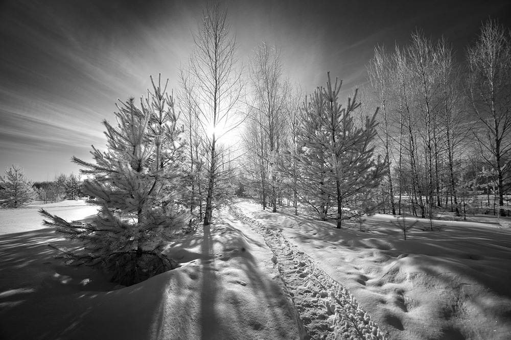 Черно-белая зима Нажмите на изображение, чтобы посмотреть его на полном экране.