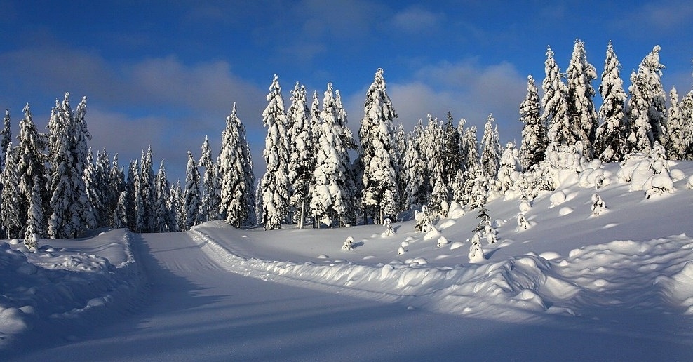 Финская зима Нажмите на изображение, чтобы посмотреть его на полном экране.