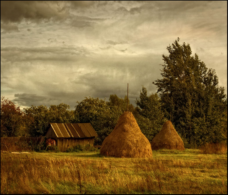 Осеннее сено. Поле стог сена деревня. Стог сена в деревне. Деревенский пейзаж. Осень стога.