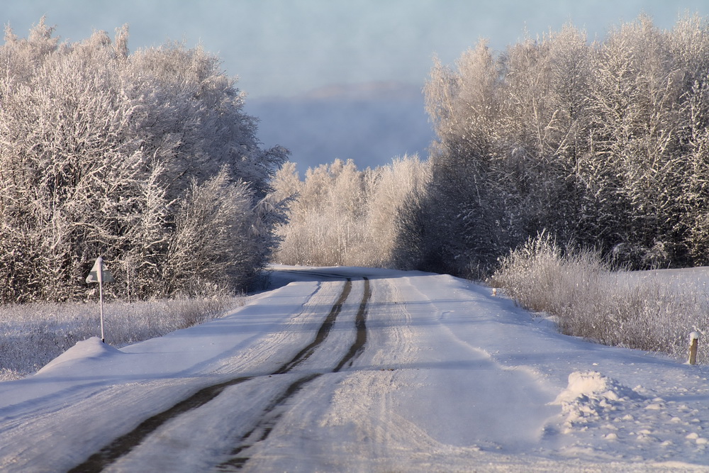 Зимняя дорога песни. Зимняя дорога. Зимняя Проселочная дорога. Проселочные дороги зимой.
