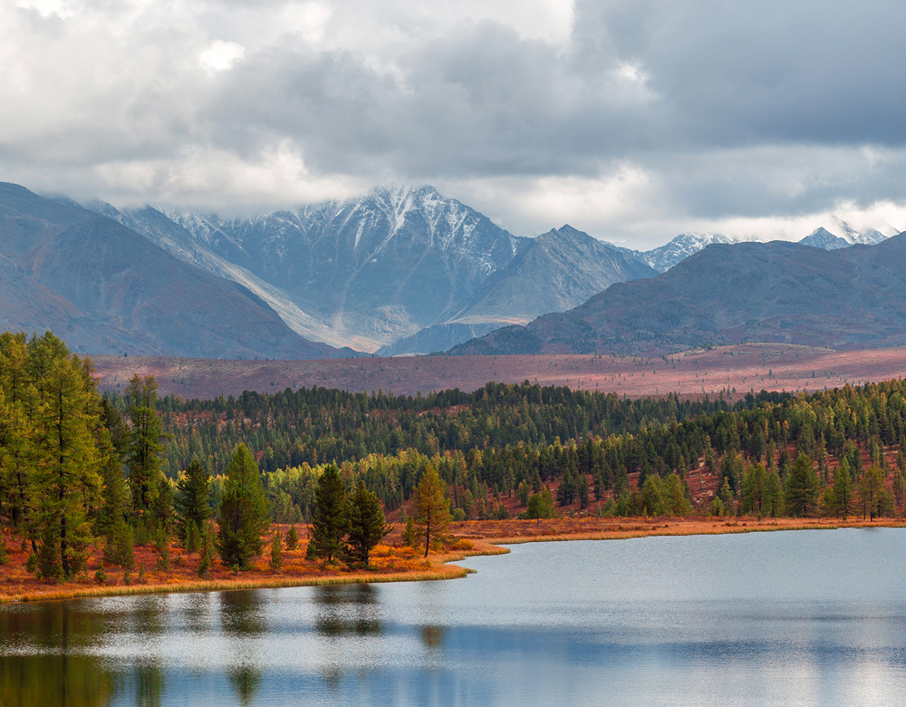 Алтайская осень Нажмите на изображение, чтобы посмотреть его на полном экране.