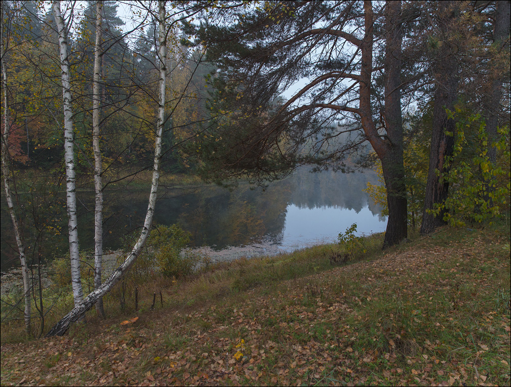 Берег лесной реки Нажмите на изображение, чтобы посмотреть его на полном экране.