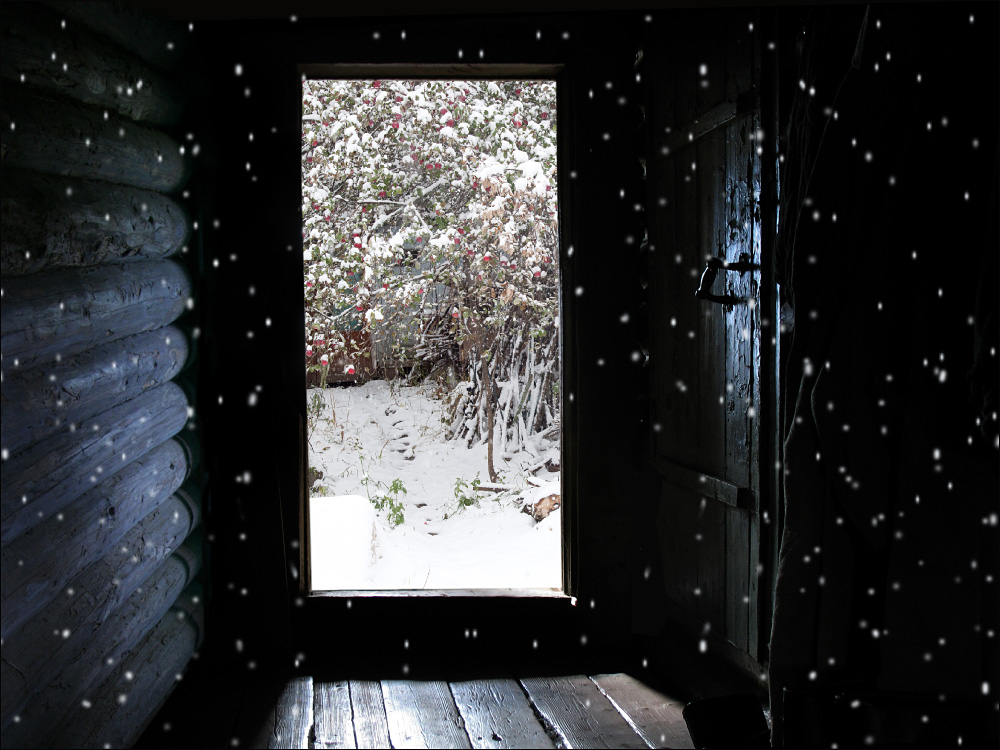 Первый снег Нажмите на изображение, чтобы посмотреть его на полном экране.