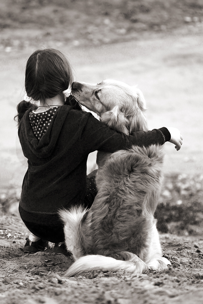 Верность пса. Собака друг человека. Преданные собаки. Собаки любовь. Верная собака.