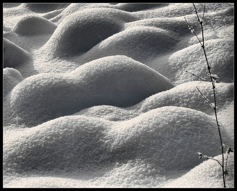 Глубокий сон под снегом Нажмите на изображение, чтобы посмотреть его на полном экране.
