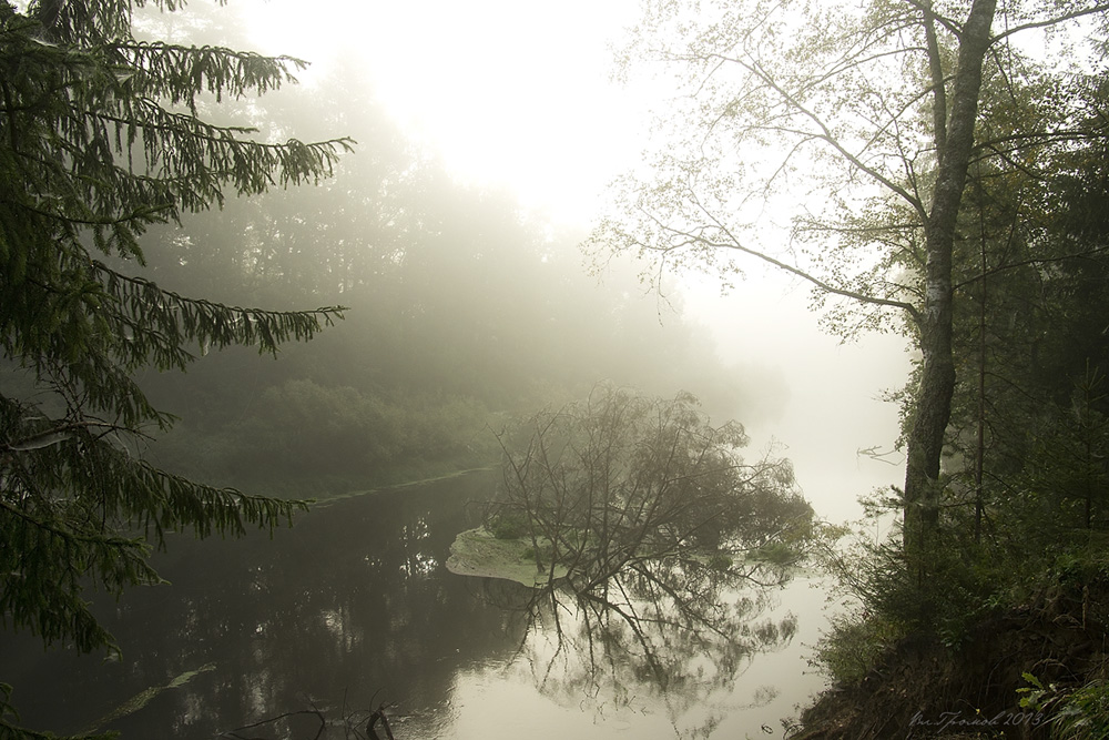 Река утонула в тумане Нажмите на изображение, чтобы посмотреть его на полном экране.