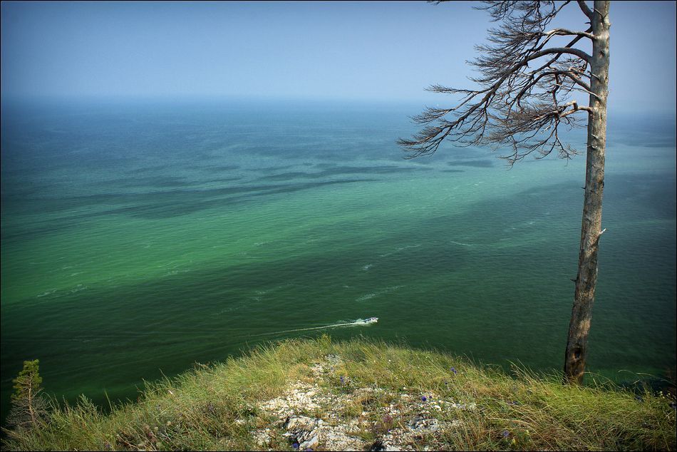 Зеленое море тайги