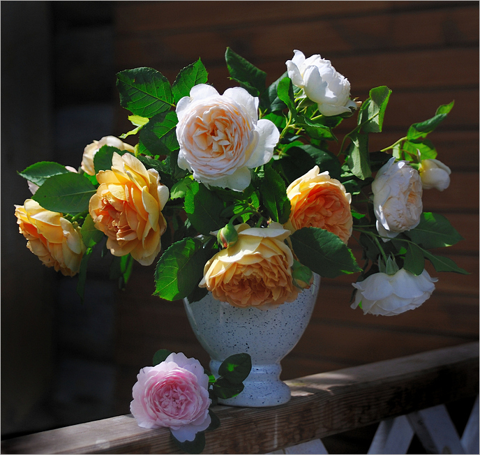 Английские розы Нажмите на изображение, чтобы посмотреть его на полном экране.