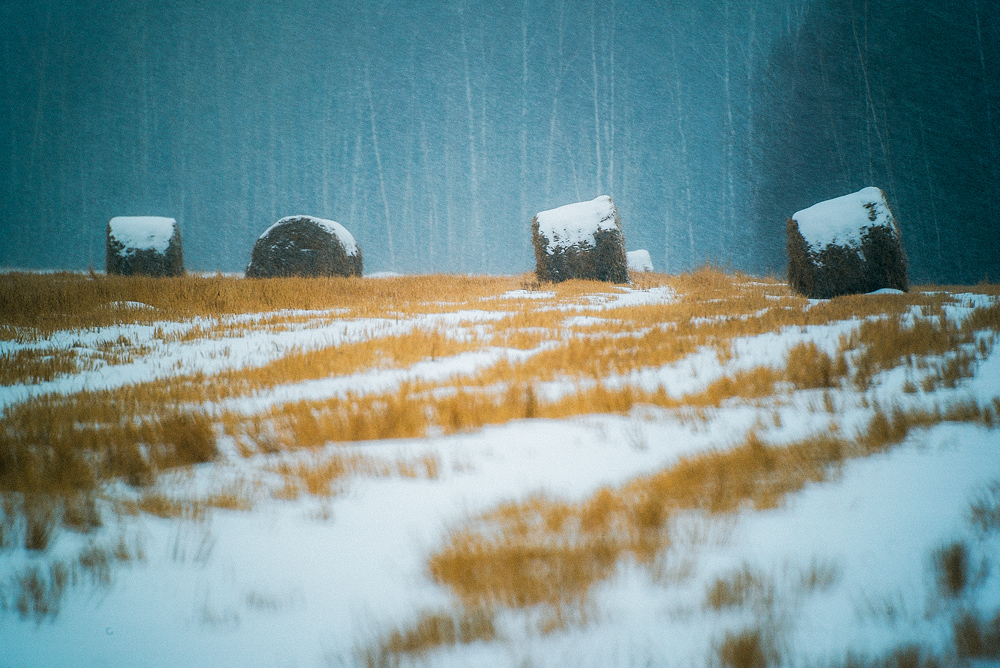 Зима в поле Нажмите на изображение, чтобы посмотреть его на полном экране.