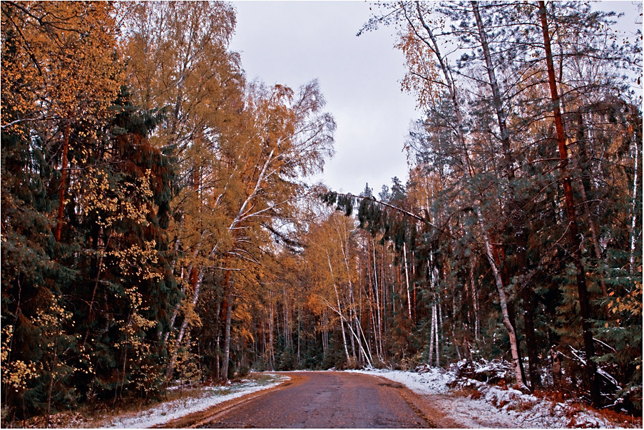 Осенняя дорога Нажмите на изображение, чтобы посмотреть его на полном экране.
